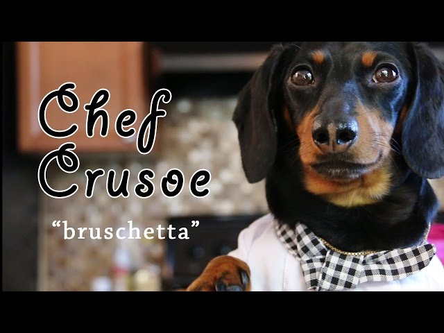 Chef Crusoe the Dachshund, Meets Gino D'Acampo - "Bruschetta"