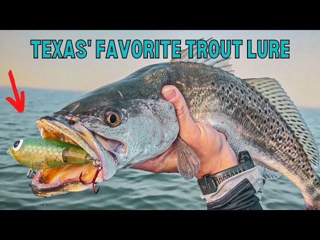 Texas' Favorite Lure For Trout (Does It Work In Other States?)