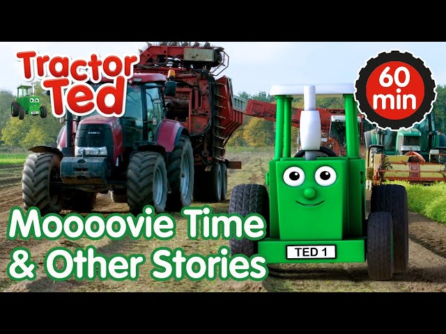 Moooovie Time & Other Tractor Ted Stories 🚜 | Tractor Ted Compilation | Tractor Ted Official