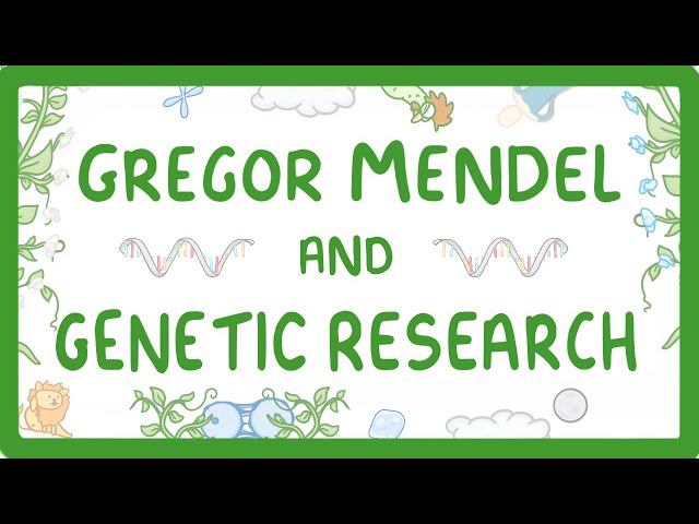 GCSE Biology - Gregor Mendel and the History of Genetics #76