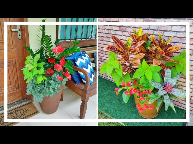 Decorating the front door with large vases / Entrance door Plants