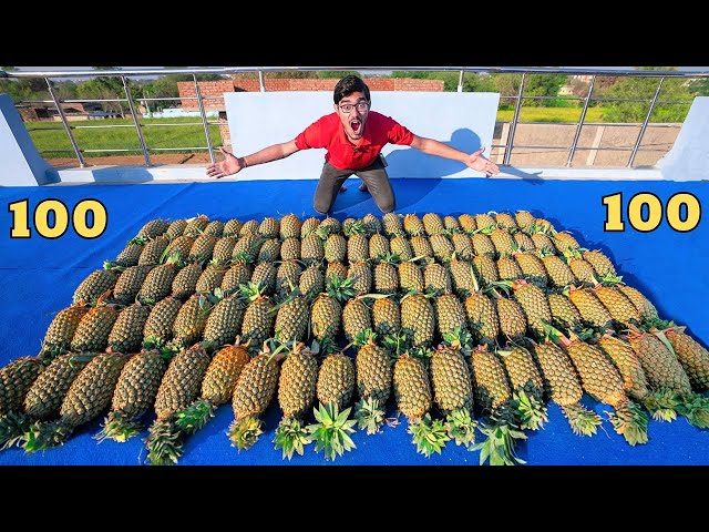 Extracting Juice From 100 Pineapples | 100 अनानास में कितना जूस निकलेगा?