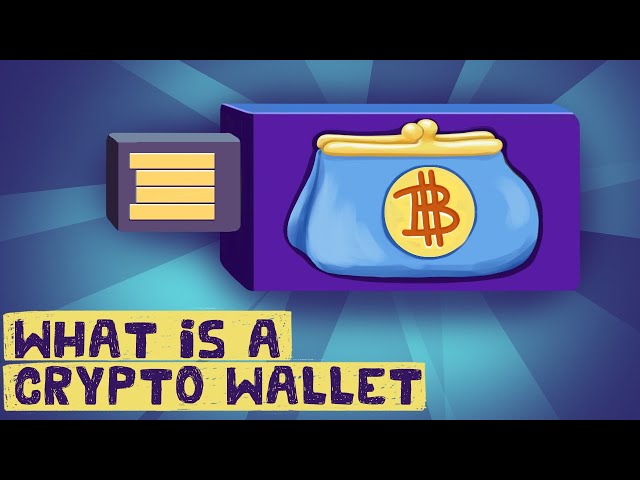 What is a Cryptocurrency Wallet? (3 Types + Key Examples)
