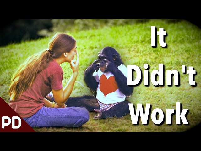 The Dark Side of Science: The Horror of Nim The Ape Language Study 1973 (Short Documentary)