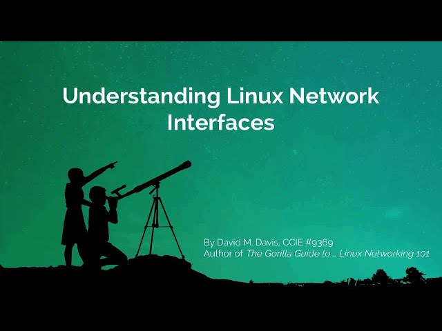 Understanding Linux Network Interfaces