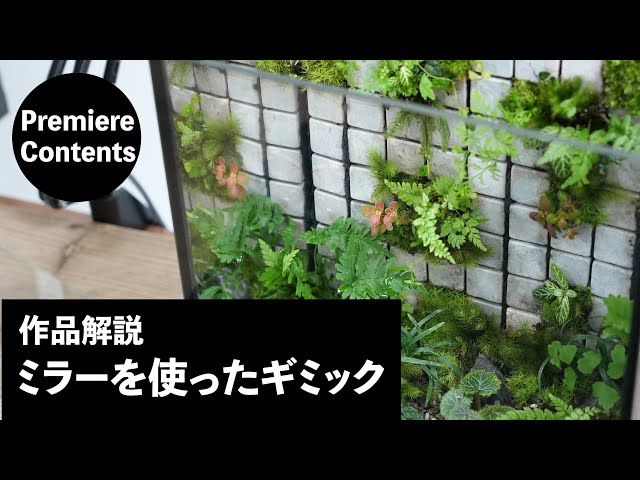 【Premier Content】 Explanation of moss terrarium using mirror