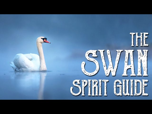 The Swan Spirit Guide - Ask the Spirit Guides Oracle - Totem Animal, Power Animal - Magical Crafting