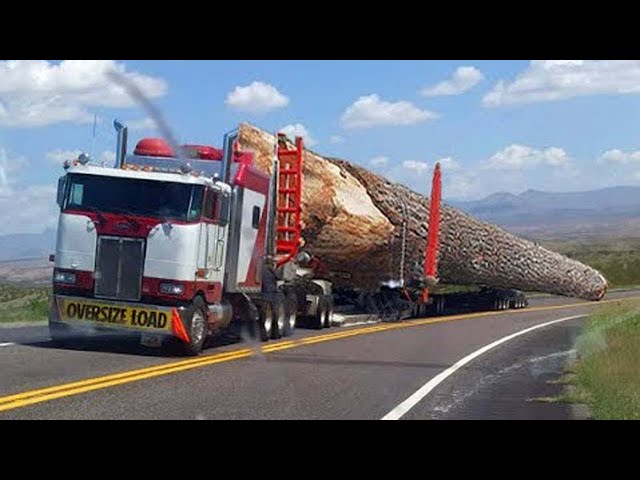 Dangerous Extreme Large Wood Logging Operator Truck Skill, Amazing Oversize Heavy Equipment Driving