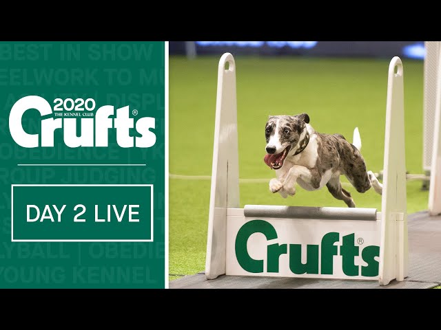 Day 2 Live | Crufts 2020