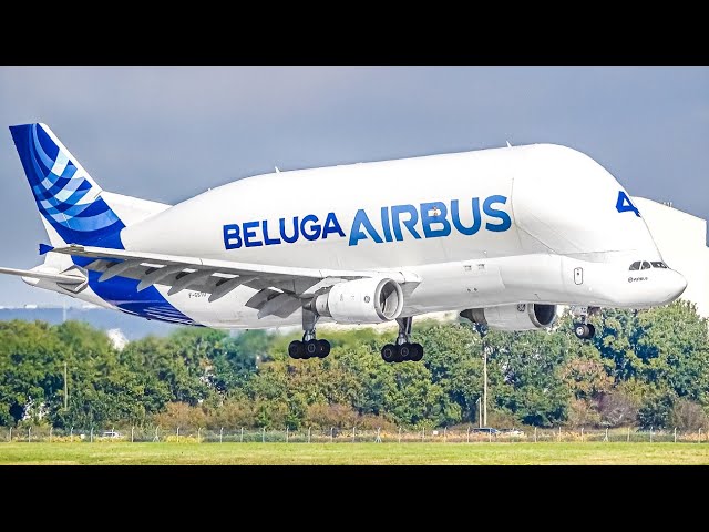 30 MINUTES of GREAT Plane Spotting at TOULOUSE AIRPORT Airbus Factory [TLS/LFBO]