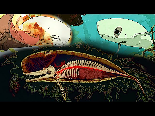 Sad Documentary About A Baby Whale In A Deadly Alien Sea - South Scrimshaw
