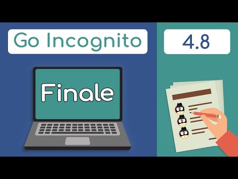 Section 4 Finale | Go Incognito 4.8