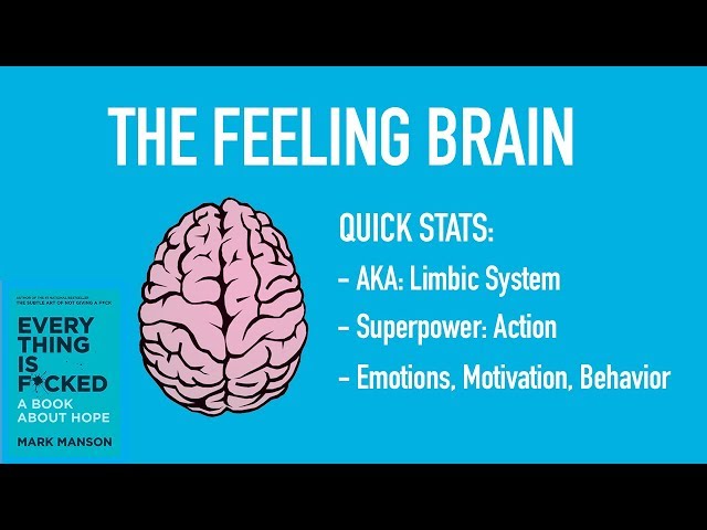 🧠 The Feeling Brain  🧠