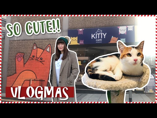 I WENT TO A CAT CAFE FOR MY BIRTHDAY! | Vlogmas day 6