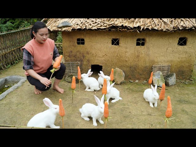 Building farm animals rabbits, ducks, pigs, goats and garden