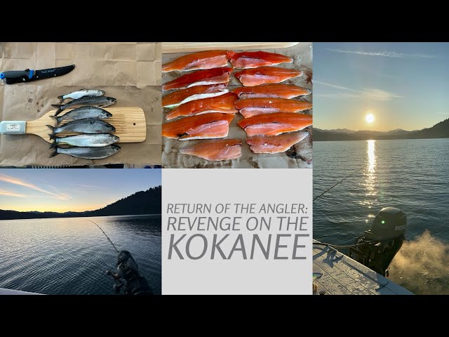 Trolling for Kokanee: Return to Lake Merwin  for revenge on the elusive silver bullets. #pnw