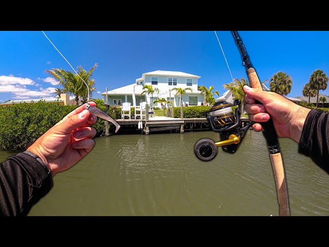 You Won't Believe How Many Fish I Caught on the New NLBN Lure (Florida Residential Fishing)