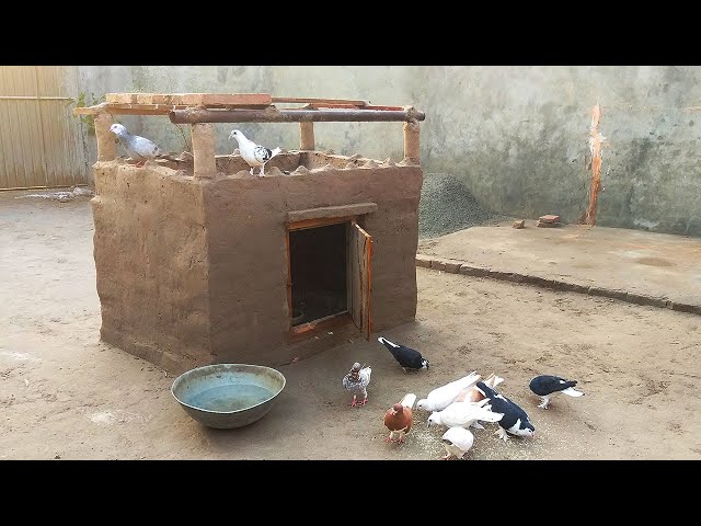 Bricklaying How to Build Amazing Mini house | how to make a pigeon house