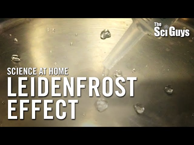 Leidenfrost Effect - The Sci Guys: Science at Home