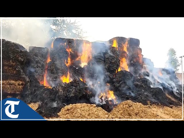 Punjab: Massive fire engulfs stubble storage house in Ferozepur’s Saiyanwala village