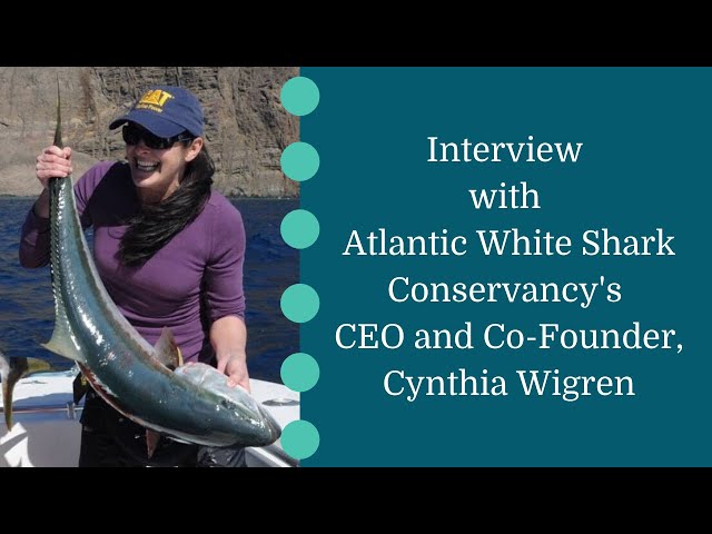 Interview with AWSC CEO and Co-Founder, Cynthia Wigren