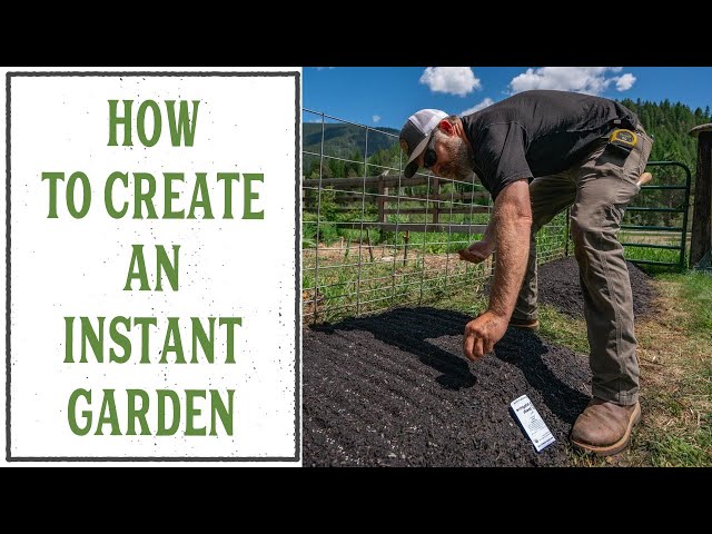 How To Create an INSTANT Garden