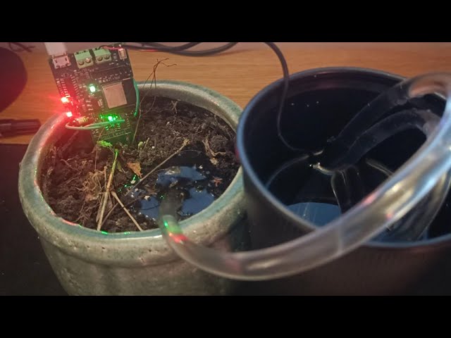 Plant-Bot | Watering Demo