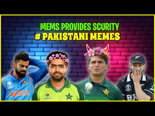 CRICKET MEMES. memes should watch for security memes