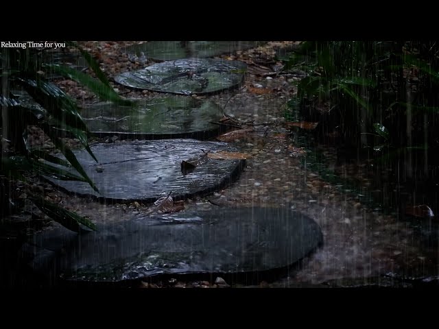 Gentle rain sound falling in the garden, rain sound for your sleep, ASMR for insomnia & relaxation