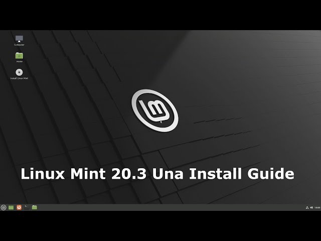 Linux Mint 20.3 Install Guide [Multi boot, btrfs]