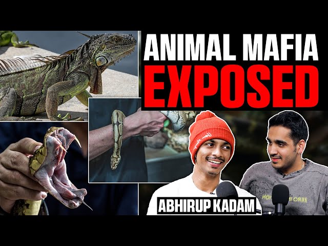 Real Side Of Snakes, Animal Smuggling, Rescue Stories and More Ft. Abhirup Kadam | RealHit