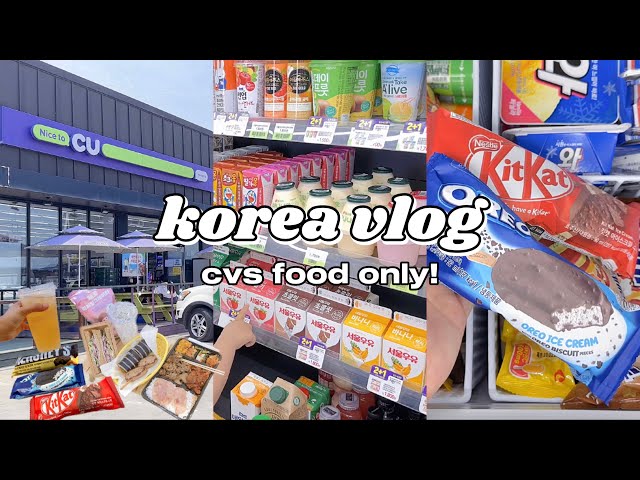 korea vlog 🇰🇷 convenience store food on summer picnic 🍱 lunch boxes, ice cream & more ⛺️🍦