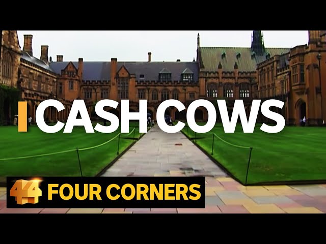 Cash Cows: Australian universities making billions out of international students | Four Corners