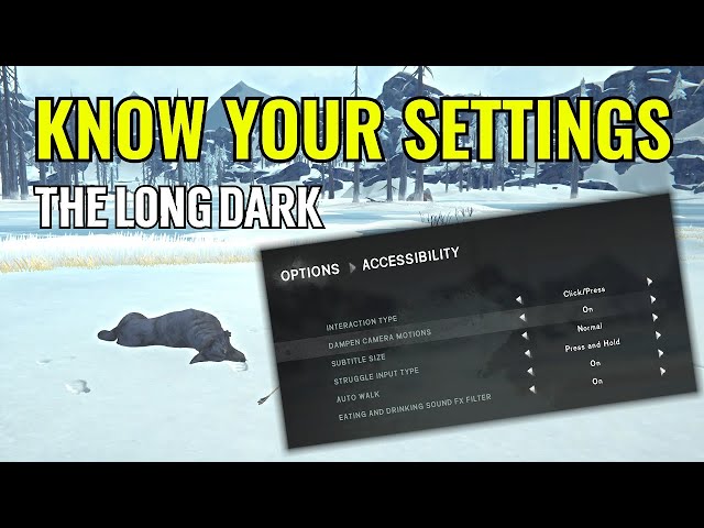 You SHOULD KNOW these settings in The Long Dark