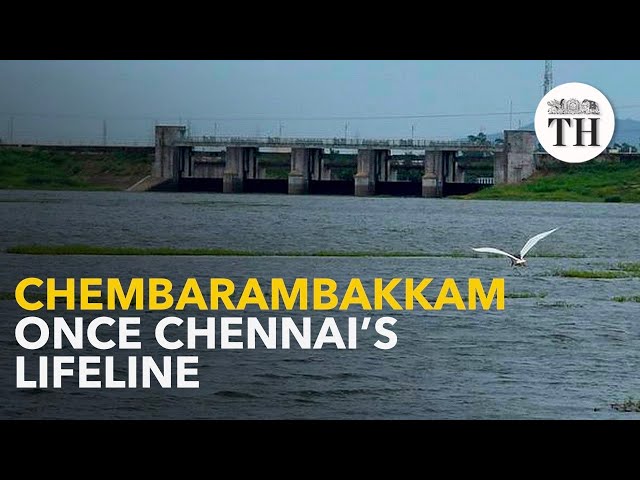 Chembarambakkam: once the lifeline of South Chennai