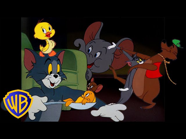 Tom y Jerry en Latino | ¡Todos los animales de Tom y Jerry! 🐣🐭 | El mes del animal |  @WBKidsLatino