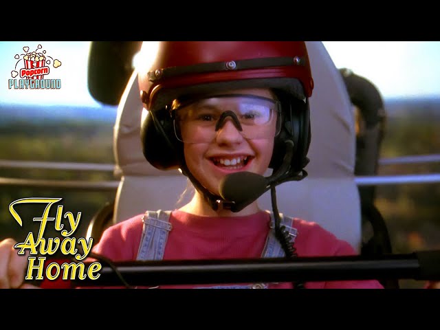 Fly Away Home | Amy's First Flight - Anna Paquin | Popcorn Playground