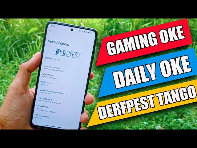 Derfpest Android 13 - Poco X3 pro | Rom ini The Best !!!
