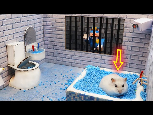 🐹Hamster Escapes the Awesome 5-Star Luxury Prison Maze with Bathtub🐹 for Pets in real life