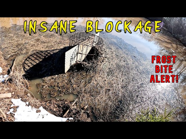 MASSIVE Blockage!!  Unclogging Lake Drain After Winter Storm - HUGE Debris Pile!  #unclog #lakedrain