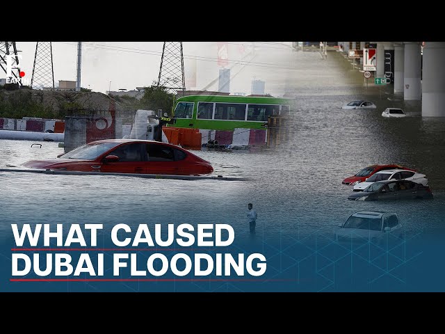 “Human-Led Climate Change” Caused Floods in Dubai? | Firstpost Earth