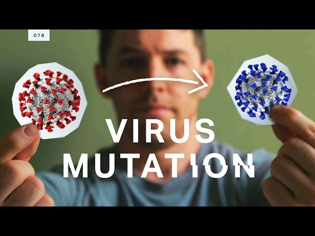The coronavirus is mutating. But don’t freak out yet.