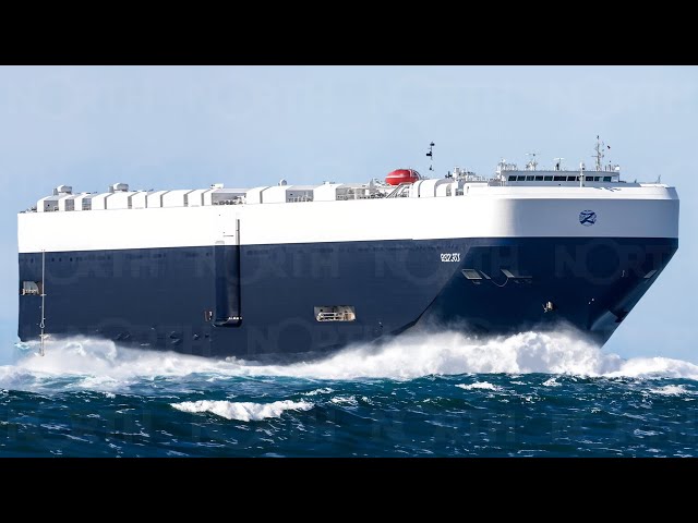Here Are The 11 World's Largest Ro-Ro Ships: The Biggest Car Carrier Ship Ever Built
