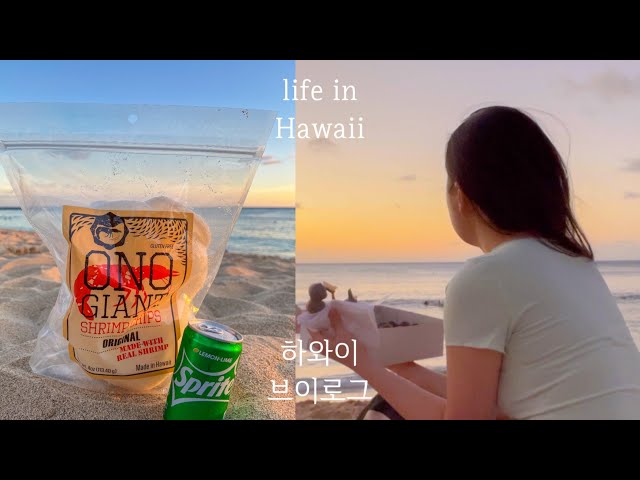 [ENG] Hawaii vlog | happy hour | mitsuwa/shopping/mochi donuts/shrimp chips/burger | kellygraphy