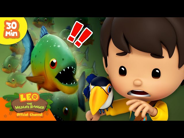 🥶 Cold-Blooded Creatures! 🌨️☃️ Lizards, Fish & more! 🐟 | Leo the Wildlife Ranger | Kids Cartoons