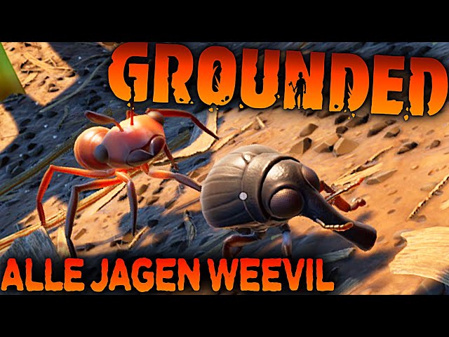 WEEVIL JAGD in Grounded Deutsch German Gameplay 50