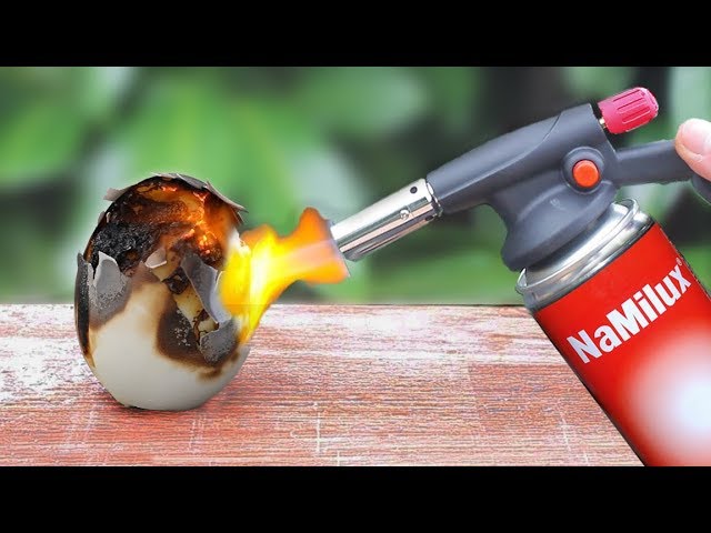 Experiments: Egg vs Gas Torch