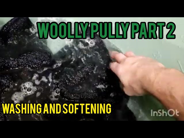 Woolly pully part 2 - | anti itch experiment #woollypully #wool