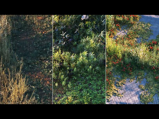 Cinema 4D Tutorial Create Digital Nature Using Megascans and Octane (Part1)