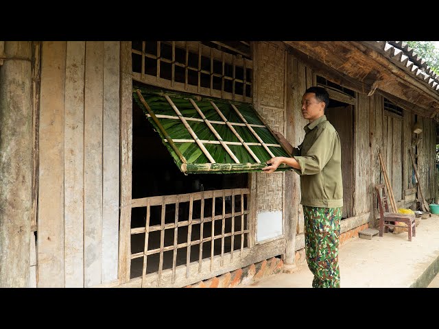 Full Video 10 Days: Boy builds bamboo house farm, Makes windows, Challenges living alone